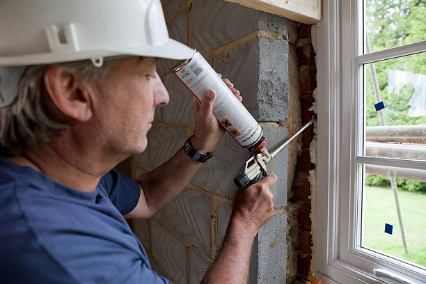 Best Home Insulation Services  in Mogul, NV