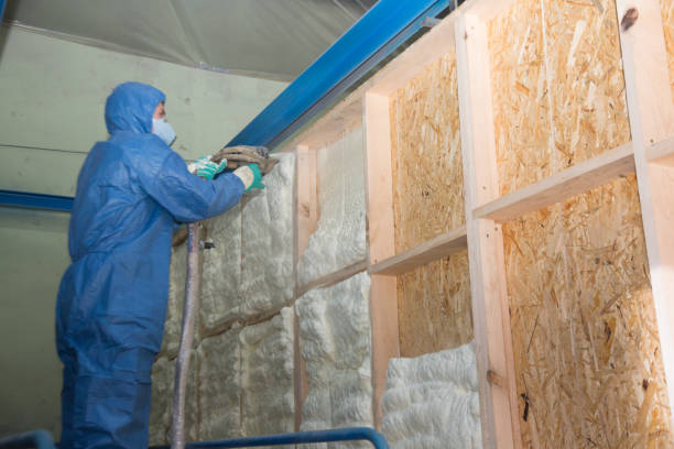 Best Insulation Removal Services  in Mogul, NV